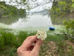 -东湖落雁景区