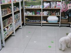 -瑞鹏宠物医院·猫科·宠保定点(梅溪湖分院)