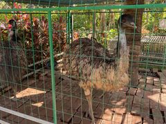 -西双版纳融创皇冠假日度假酒店