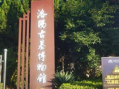 -洛阳古墓博物馆