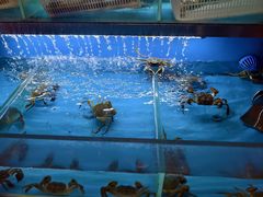 -上海凯宾斯基大酒店