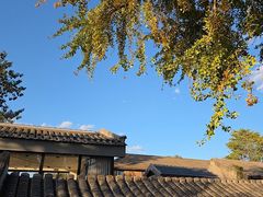 -自如ZSPACE四合院艺术餐厅