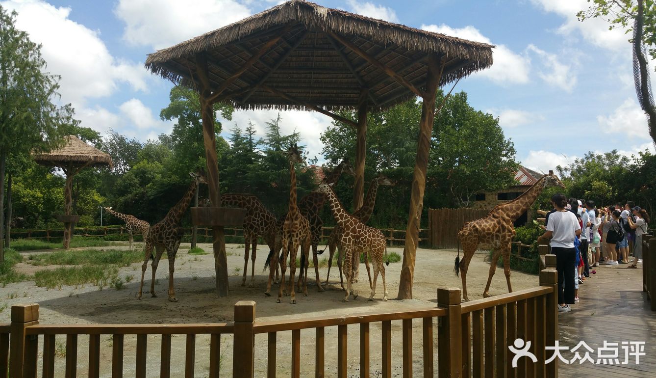 比較適合自駕坐地鐵過去很不方便動物園停車場眾多