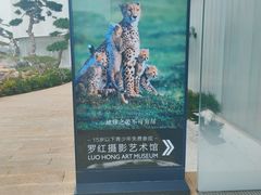 -罗红摄影艺术馆