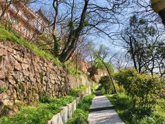 -句容茅山景区
