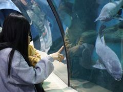 -苏州海洋馆