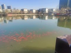-西海子公园