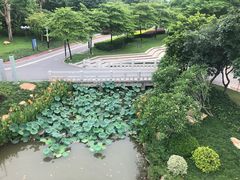 -文华公园(禅城区)