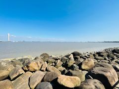 -上海吴淞炮台湾国家湿地公园