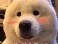 -云晓光头烧烤吧(川沙绿地店)