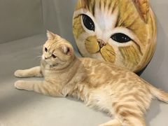 -小时光咖啡馆(开森度假森林店)