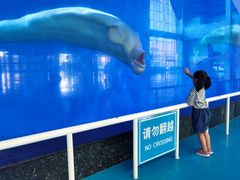 -泉城欧乐堡海洋极地世界