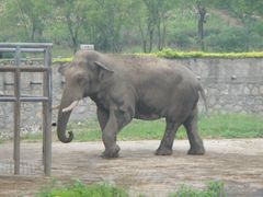 -西安秦岭野生动物园