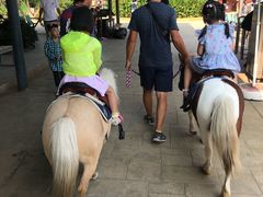 -渔岛海洋度假区