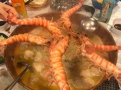 -鲜入围煮花胶鸡海鲜火锅