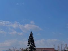 -三垟湿地
