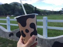 -瑞穗牧场