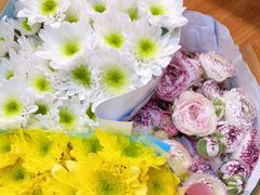 -双季花艺园艺市场(浦东店)