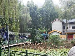 -刘家花园·柴火鸡·中餐酒楼·西昌烧烤(三圣乡店)