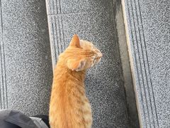 -老三样·旧食新味(船山路店)