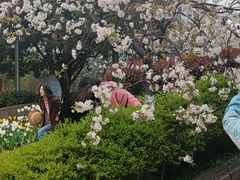 -南山植物园