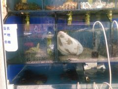 水产区-香满居张记小厨私房菜(青岛站店)