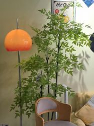 -变美丽半永久纹眉连锁·机器野生眉•洗眉