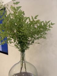 -佳颜轻医美·美学抗衰中心