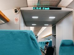 -龙阳路磁悬浮列车总站-停车场