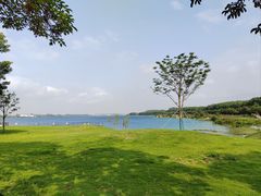 -露天矿生态公园