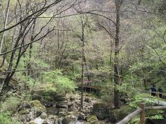 -牛背梁国家森林公园