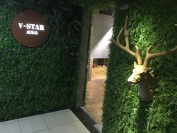 -V-STAR威斯达•高级私人定制