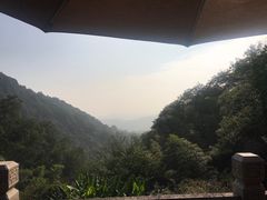 -韬光茶庵