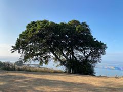 -青澳湾北回归线广场