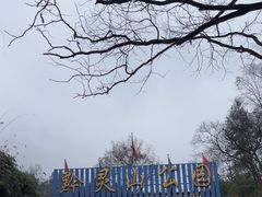 -黔灵山公园