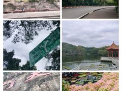 -广州莲花山旅游区