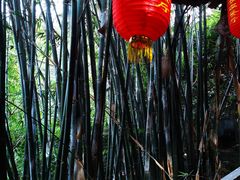 -鲤鱼塘农家山庄