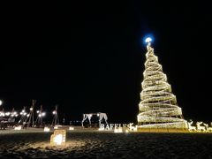 -海南清水湾莱佛士酒店