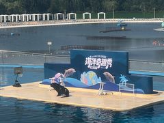 -秦皇岛乐岛海洋王国