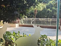 -麒麟中餐厅·经典粤菜·地道菜式老字号(广州长隆酒店)