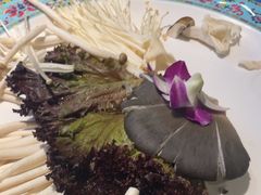 -南门四季铜锅涮肉(大屯·北苑店)