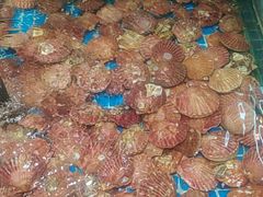 -和源祥·日照菜扛把子(万平口一店)