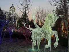 -南宫五洲植物乐园