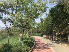 -滨河世纪广场公园