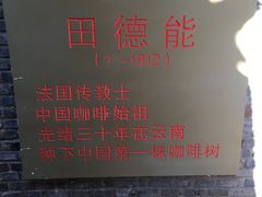 -田德能咖啡博物馆