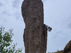 -磬锤峰森林公园