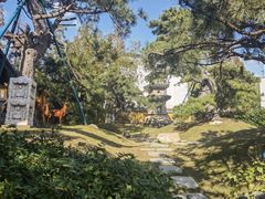 -龙华寺