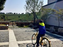 -帐篷客·溪龙茶谷度假酒店