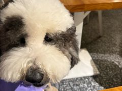 -小意思咖啡店(草桥店)