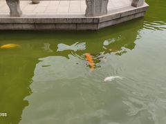 -祝家花園(伯渎港店)